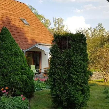 Prázdninový dům Rosenbach *